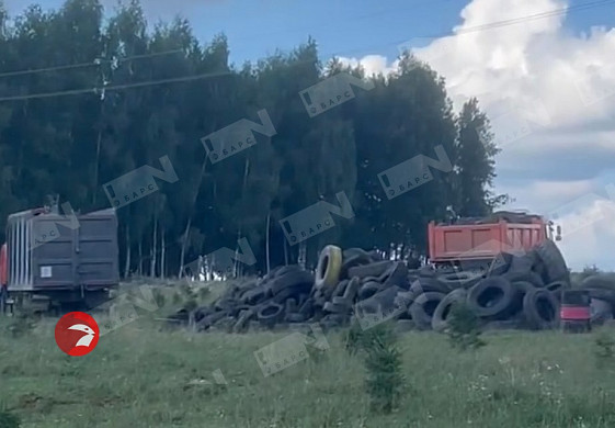 В Лежневском районе коровы заболели опасной болезнью